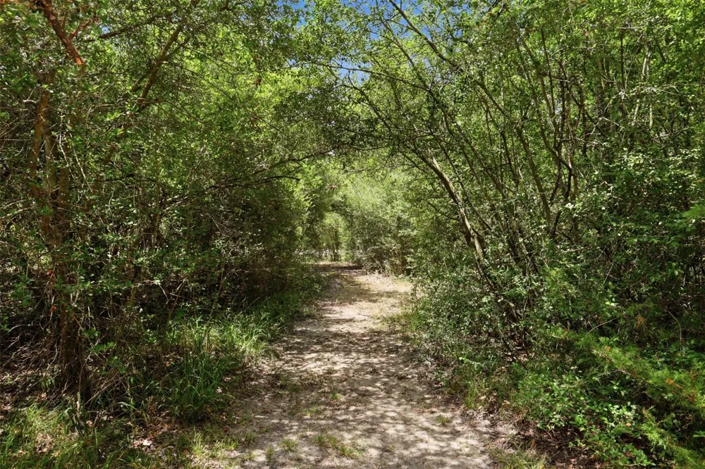 11430 Long Trussel Road Bryan, TX 77808