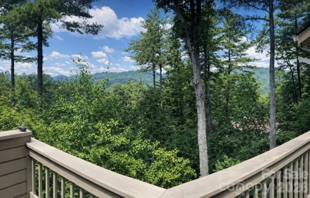 2902-A Timber Trail Asheville, NC 28804