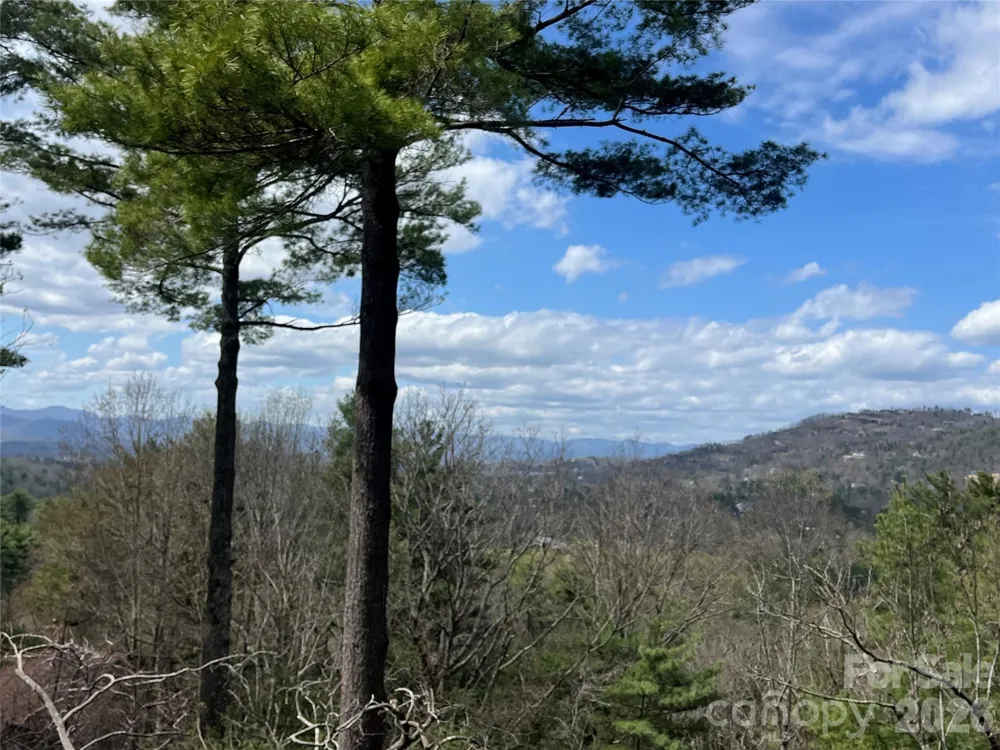 2902-A Timber Trail Asheville, NC 28804