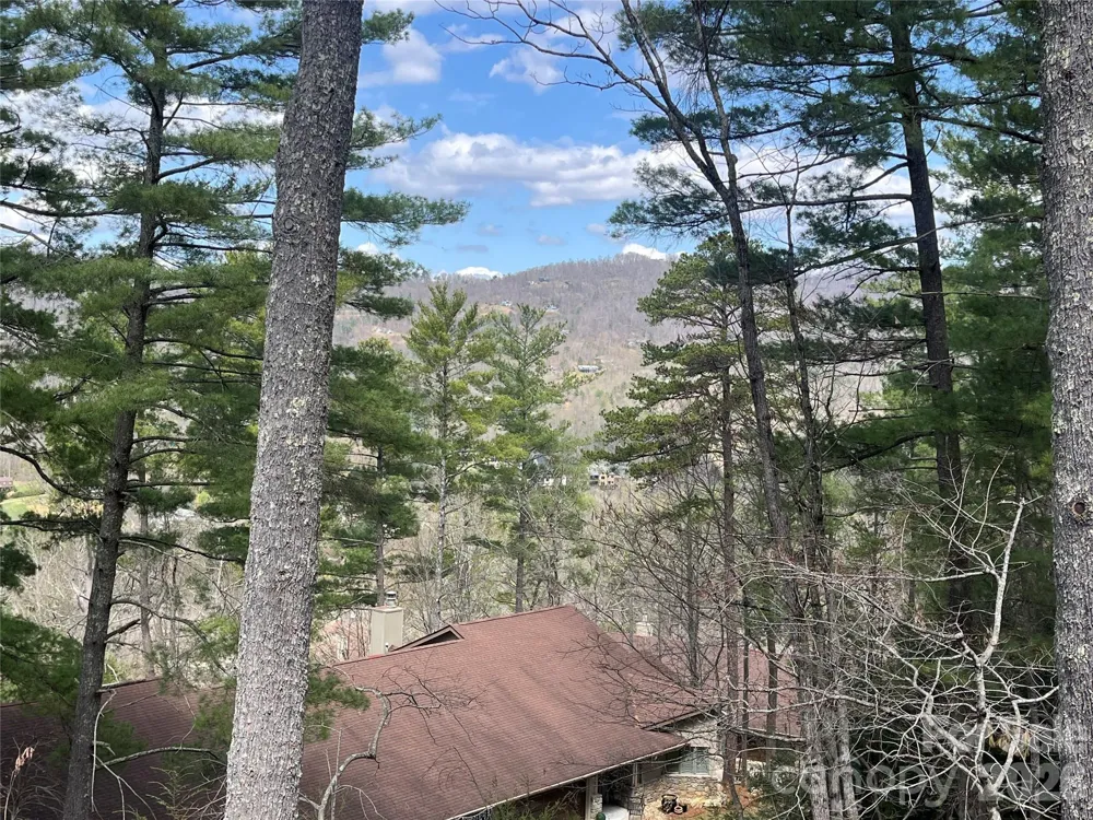 2902-A Timber Trail Asheville, NC 28804
