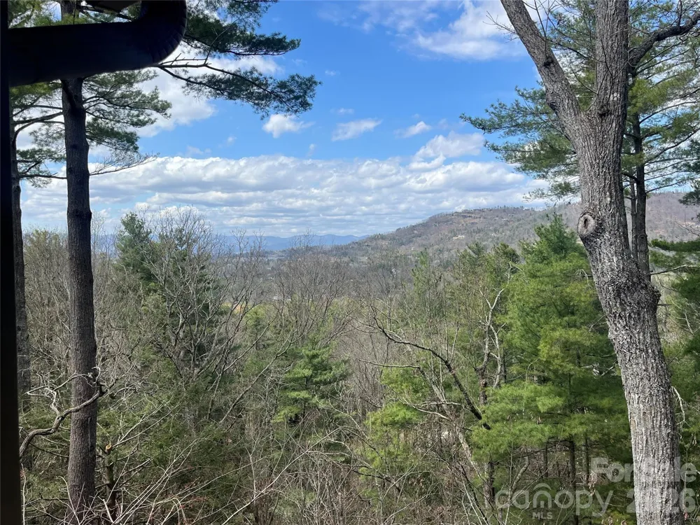 2902-A Timber Trail Asheville, NC 28804