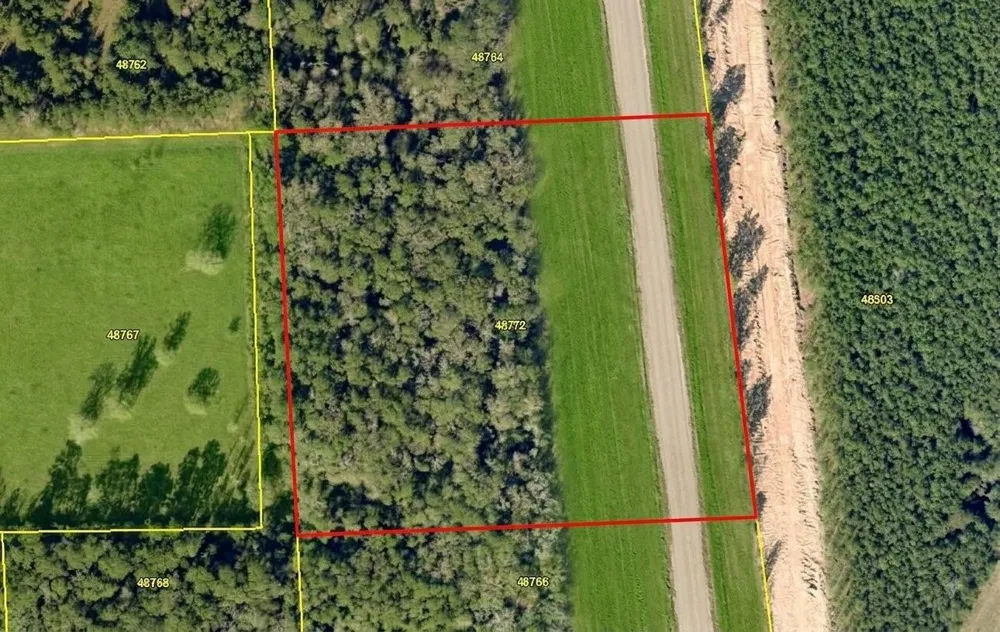 Bones Way Ln Shepherd, TX 77371