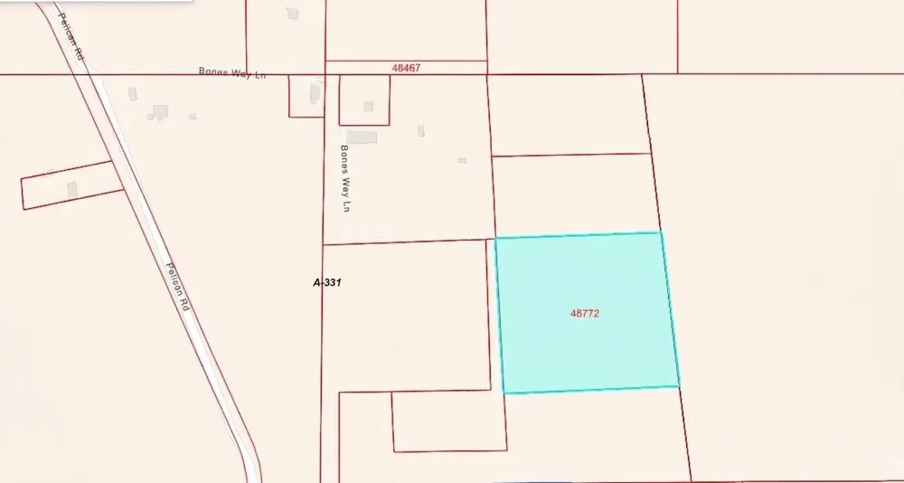 Bones Way Ln Shepherd, TX 77371