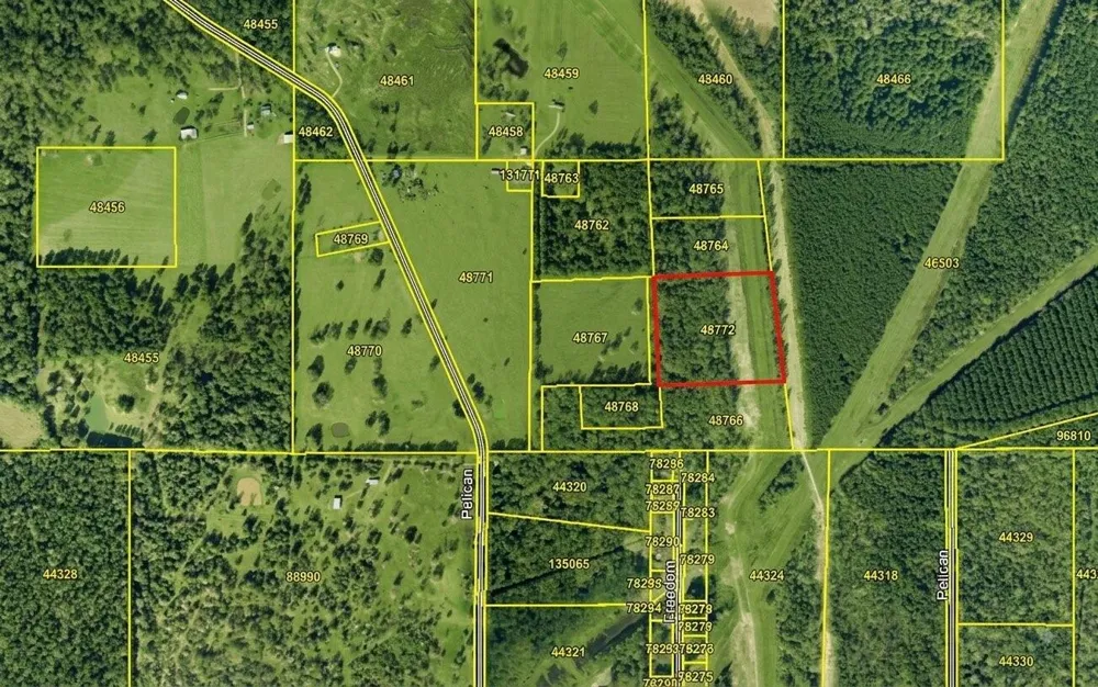 Bones Way Ln Shepherd, TX 77371