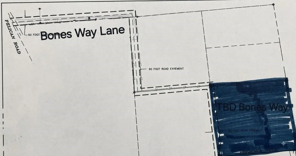 Bones Way Ln Shepherd, TX 77371