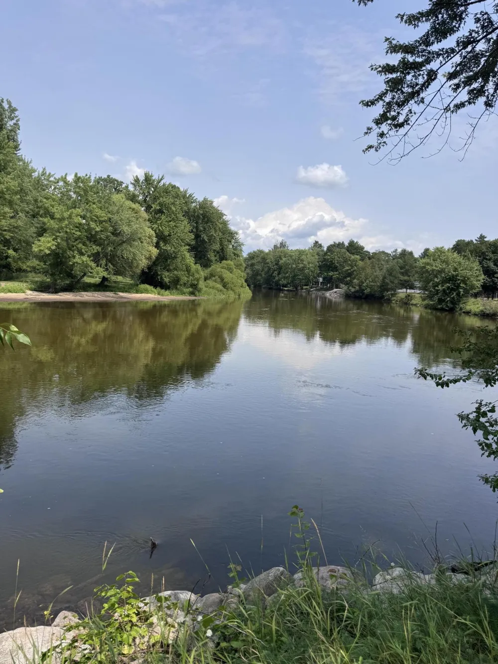 7998 Trout Haven Drive Evart, MI 49631