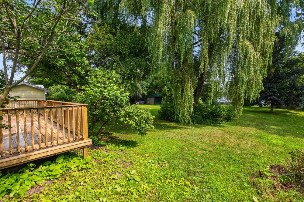 209 Underwood Avenue Leroy, MI 49655