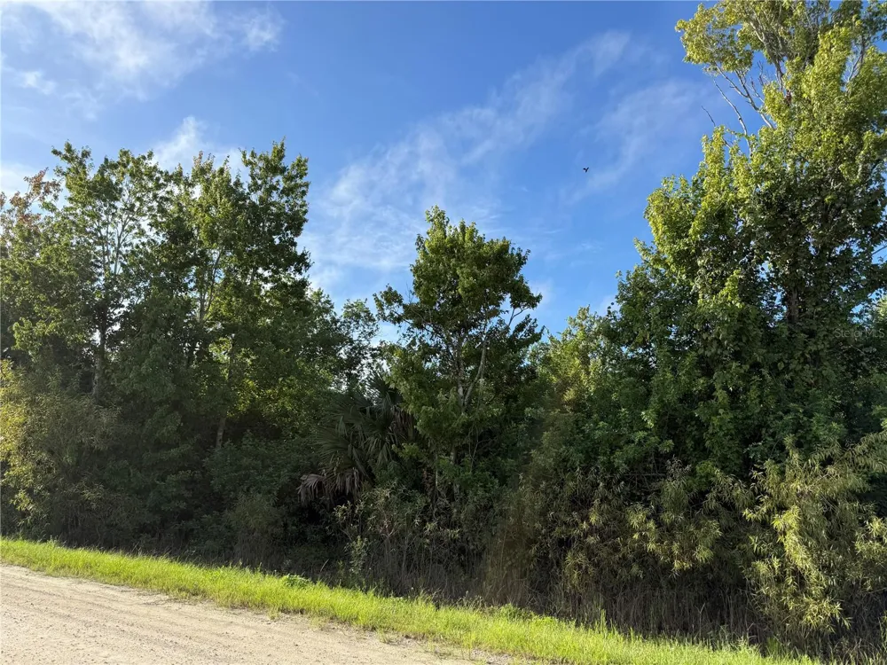 720 SHADY HALLOW BOULEVARD W Naples, FL 34120