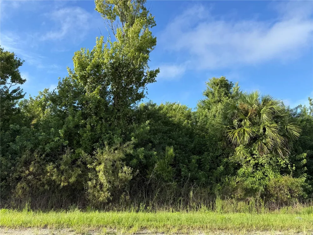 720 SHADY HALLOW BOULEVARD W Naples, FL 34120