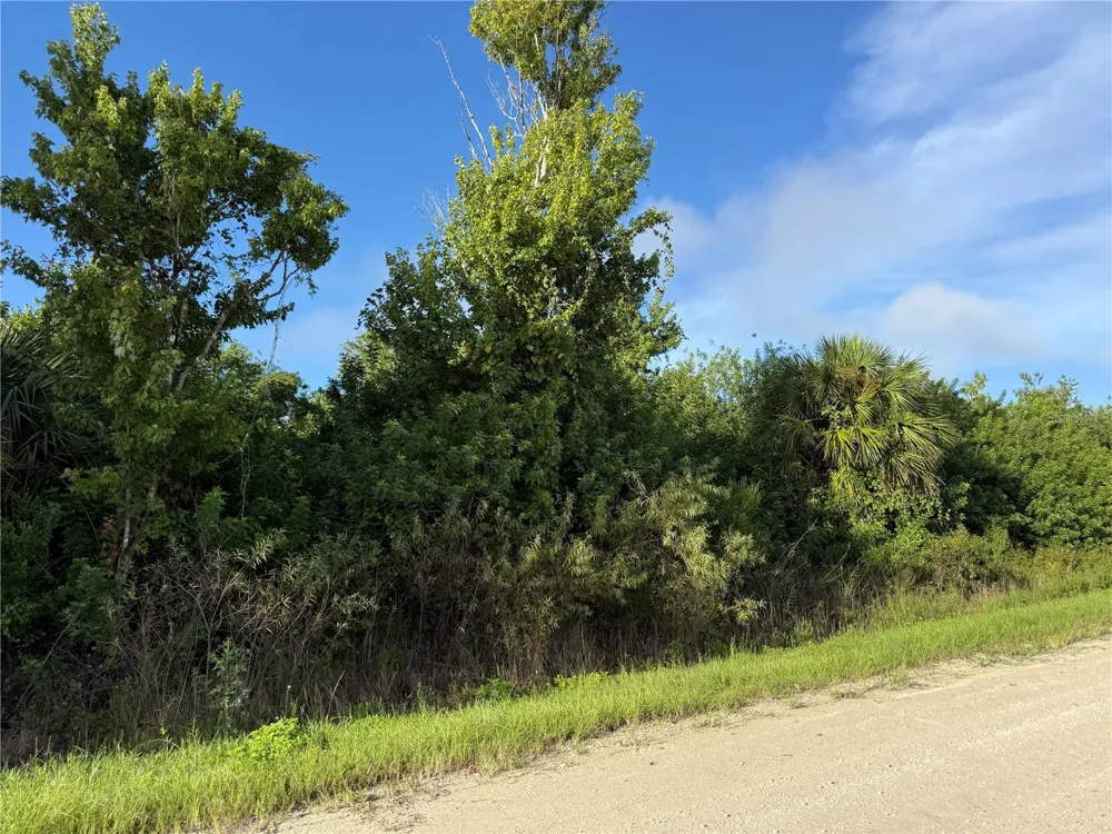 720 SHADY HALLOW BOULEVARD W Naples, FL 34120
