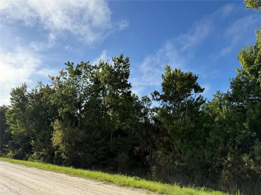 720 SHADY HALLOW BOULEVARD W Naples, FL 34120