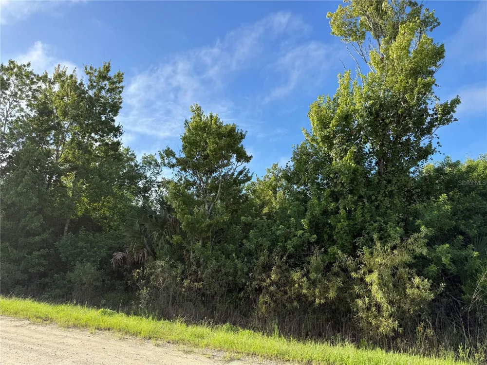720 SHADY HALLOW BOULEVARD W Naples, FL 34120