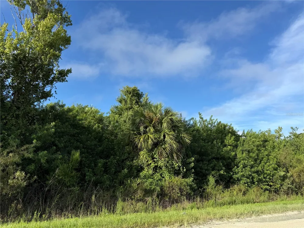 720 SHADY HALLOW BOULEVARD W Naples, FL 34120