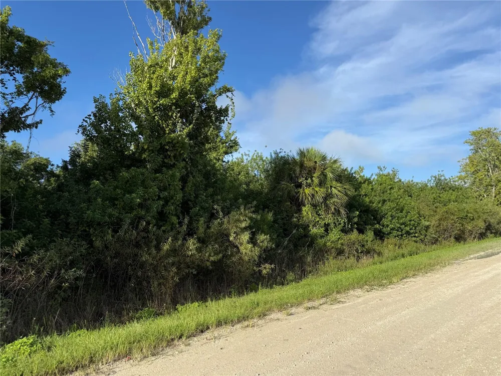 720 SHADY HALLOW BOULEVARD W Naples, FL 34120