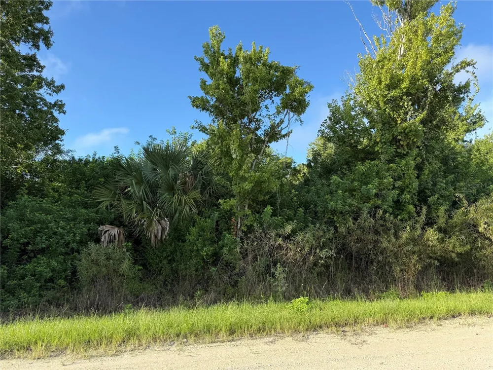 720 SHADY HALLOW BOULEVARD W Naples, FL 34120