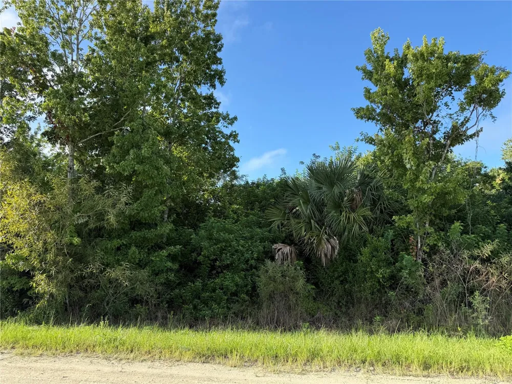 720 SHADY HALLOW BOULEVARD W Naples, FL 34120