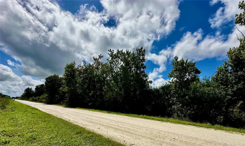 720 SHADY HALLOW BOULEVARD W Naples, FL 34120