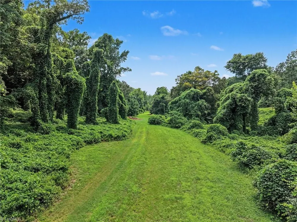 543 Bald Hill Loop Road Madison, NC 27025