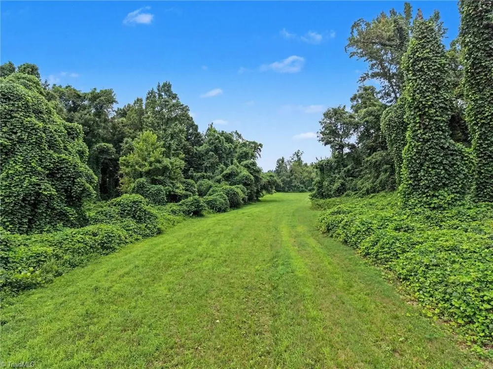 543 Bald Hill Loop Road Madison, NC 27025
