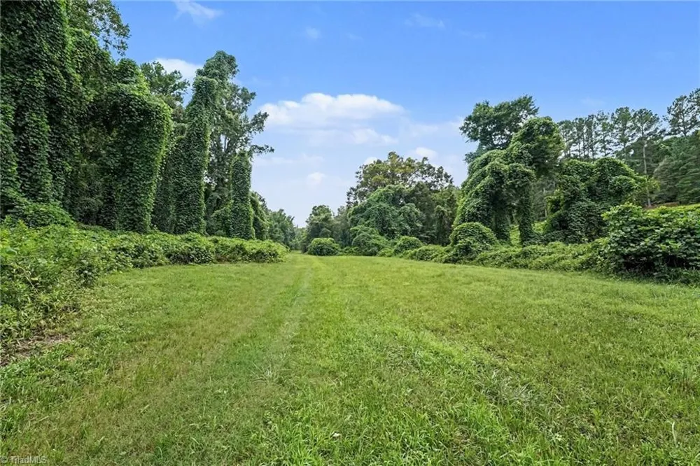 543 Bald Hill Loop Road Madison, NC 27025