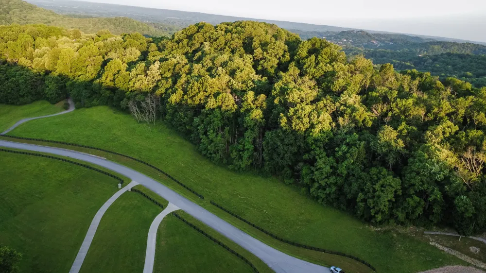 3029 Smith Ln Franklin, TN 37069