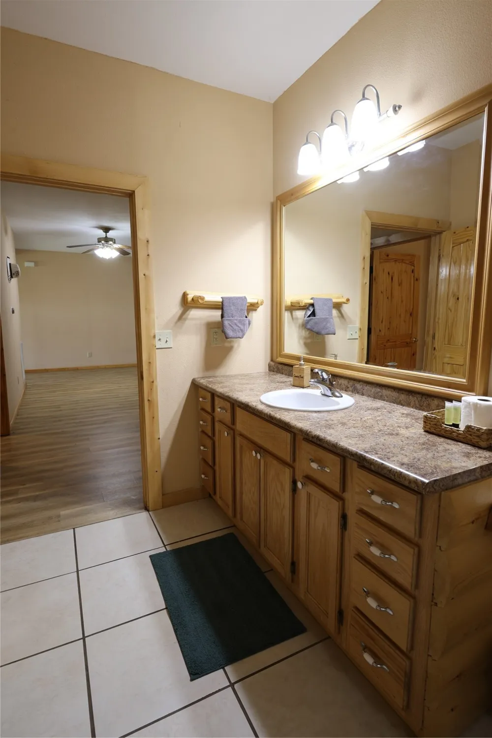 13201 Prairie Sky Lane Krum, TX 76249