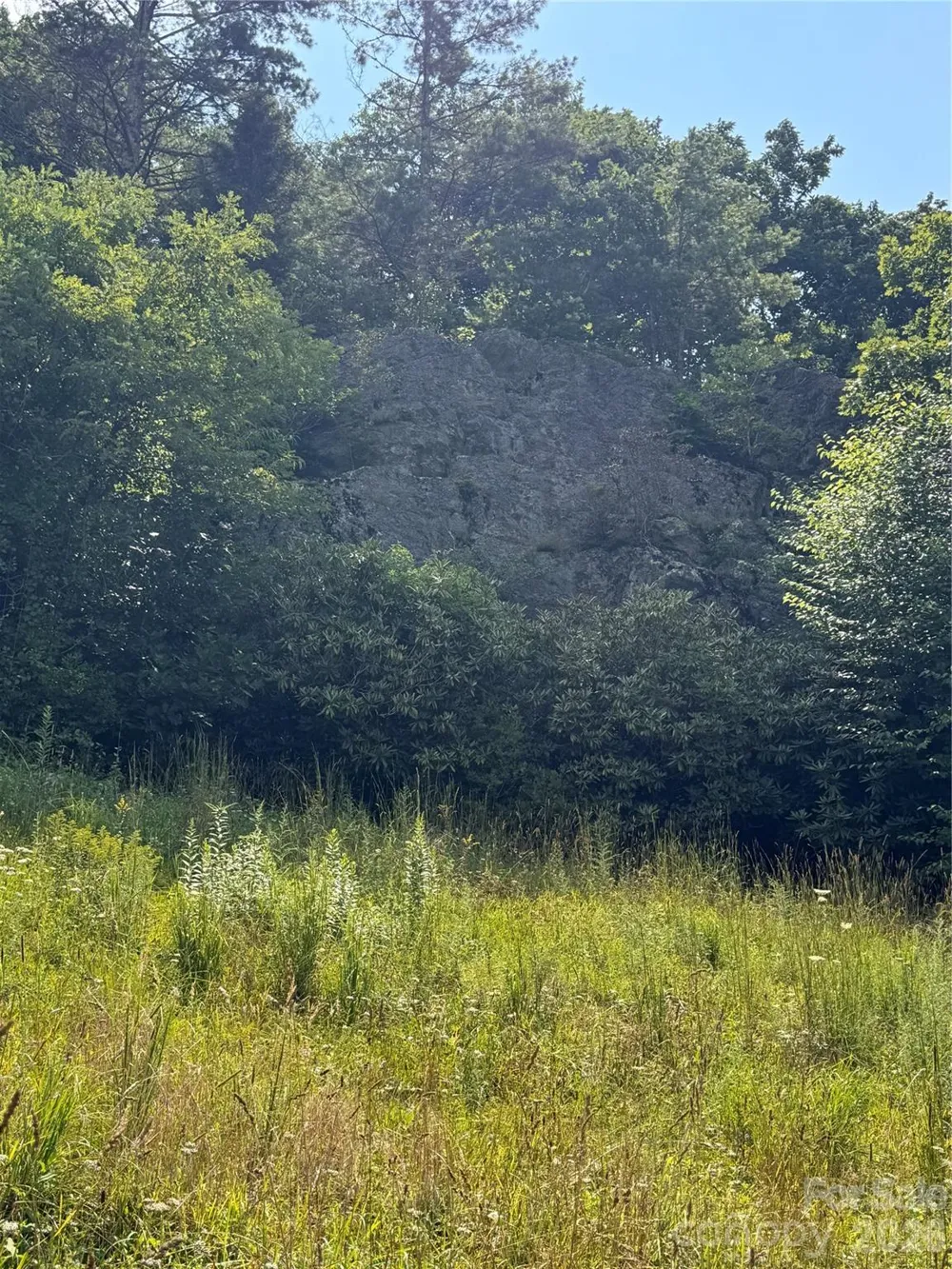 189 Old NC 181 Highway Newland, NC 28657