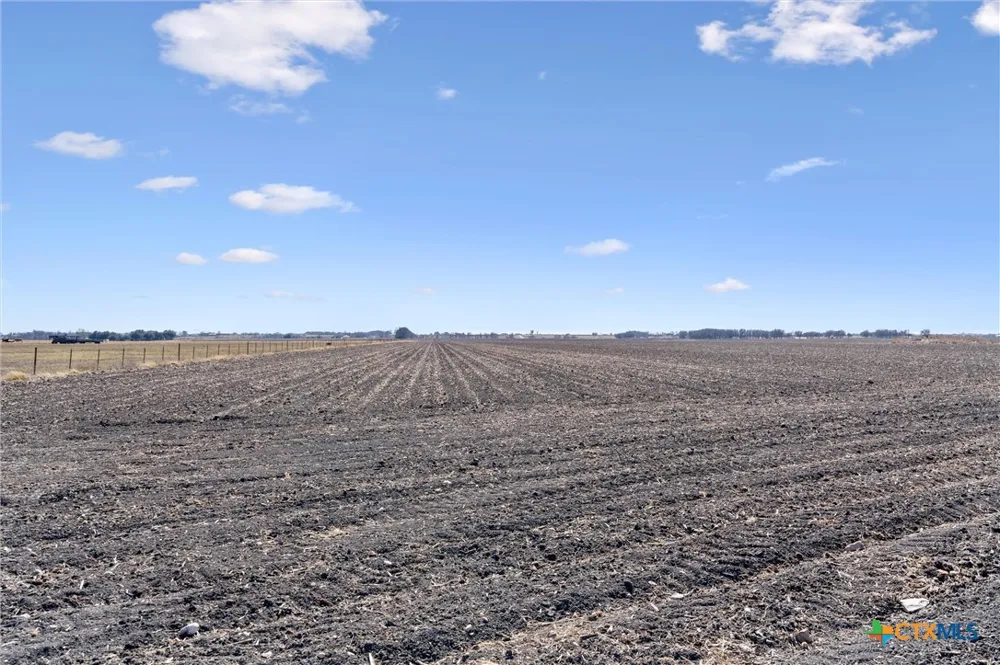 FM 1331 Thrall, TX 76578