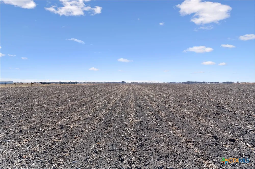 FM 1331 Thrall, TX 76578