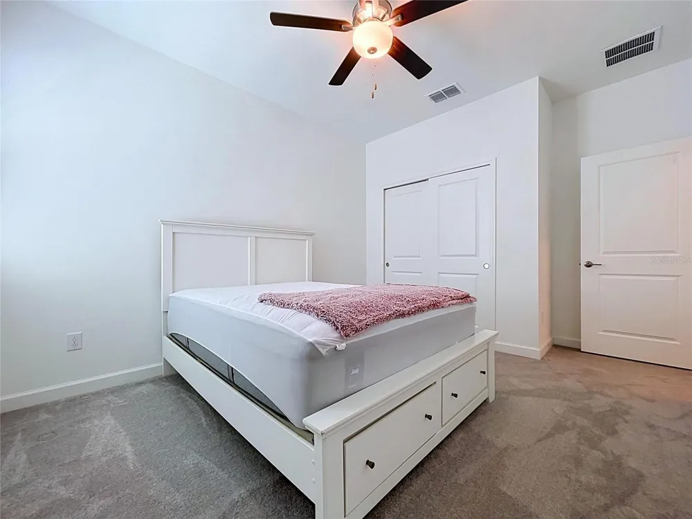 5524 LITTLE PATH DRIVE Wimauma, FL 33598