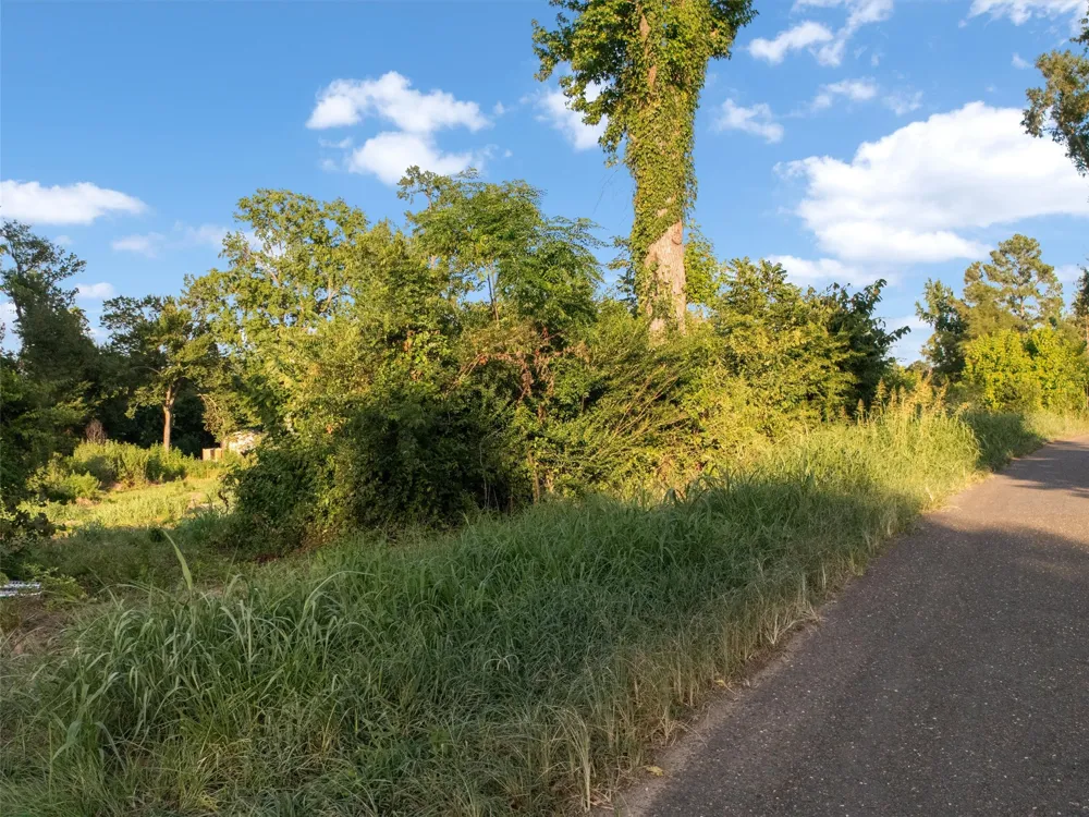 CR 3260 Winnsboro, TX 75494