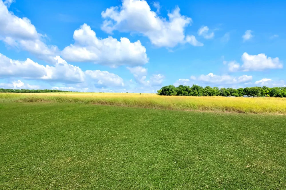 5304 E Line Road Whitewright, TX 75491