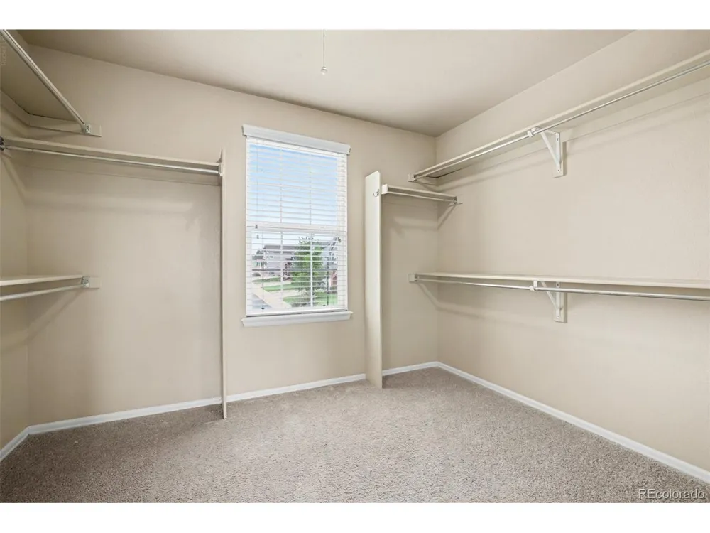 3603 Amber Sun Circle Castle Rock, CO 80108