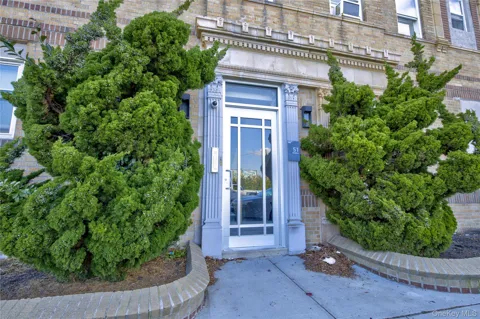 51 Georgia Avenue #3