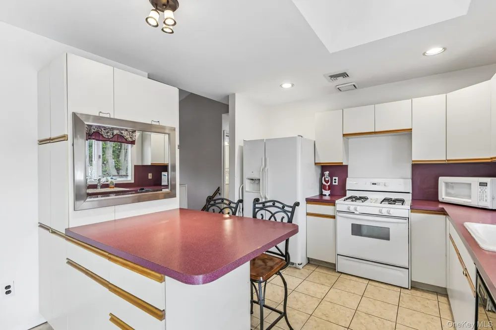 1010 Douglas Avenue Wantagh, NY 11793