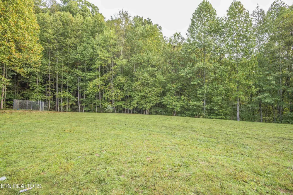 799 Twin Hills Lane Jacksboro, TN 37757