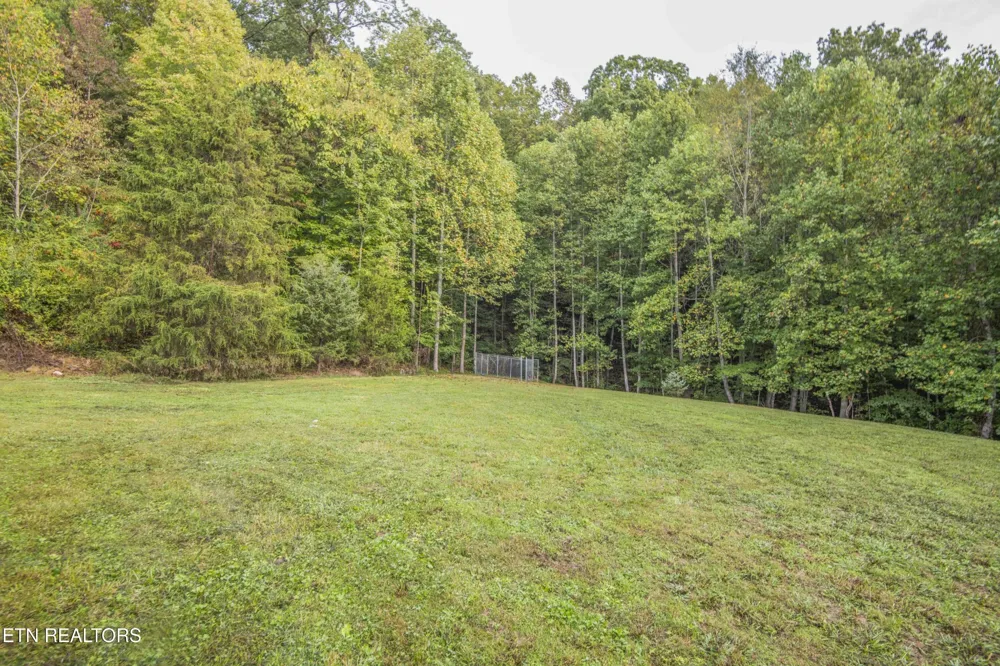799 Twin Hills Lane Jacksboro, TN 37757
