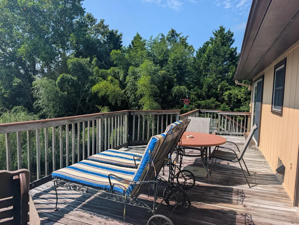 300 Lake Forest Lane Spring City, TN 37381