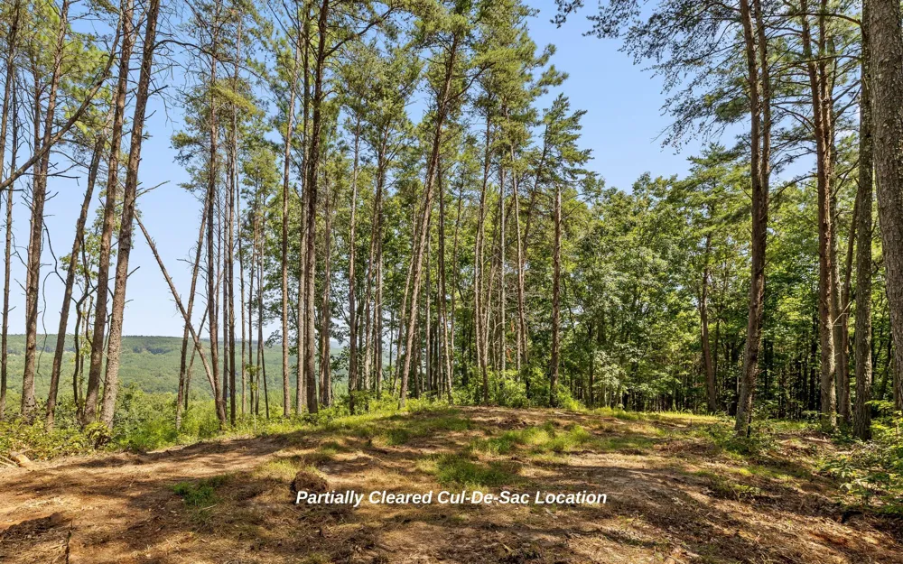 1220 Crows Nest Drive Guild, TN 37340