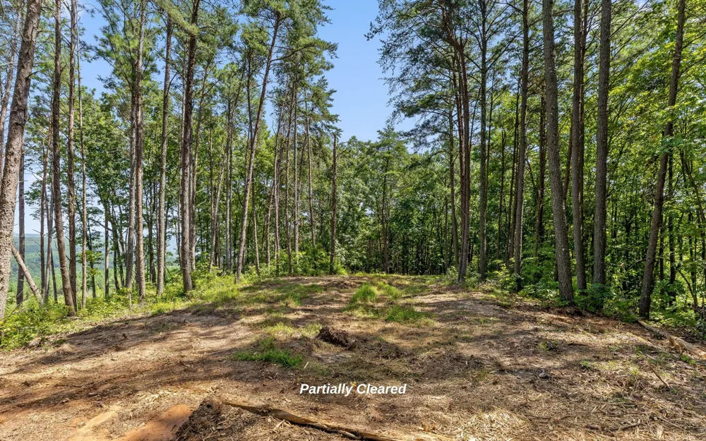 1220 Crows Nest Drive Guild, TN 37340