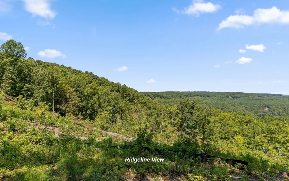 1220 Crows Nest Drive Guild, TN 37340