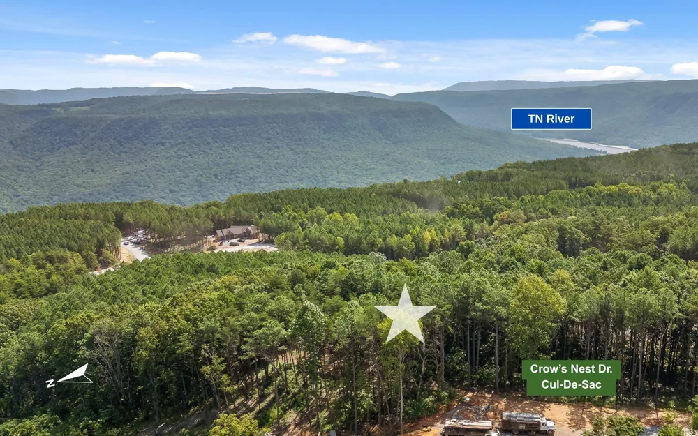 1220 Crows Nest Drive Guild, TN 37340