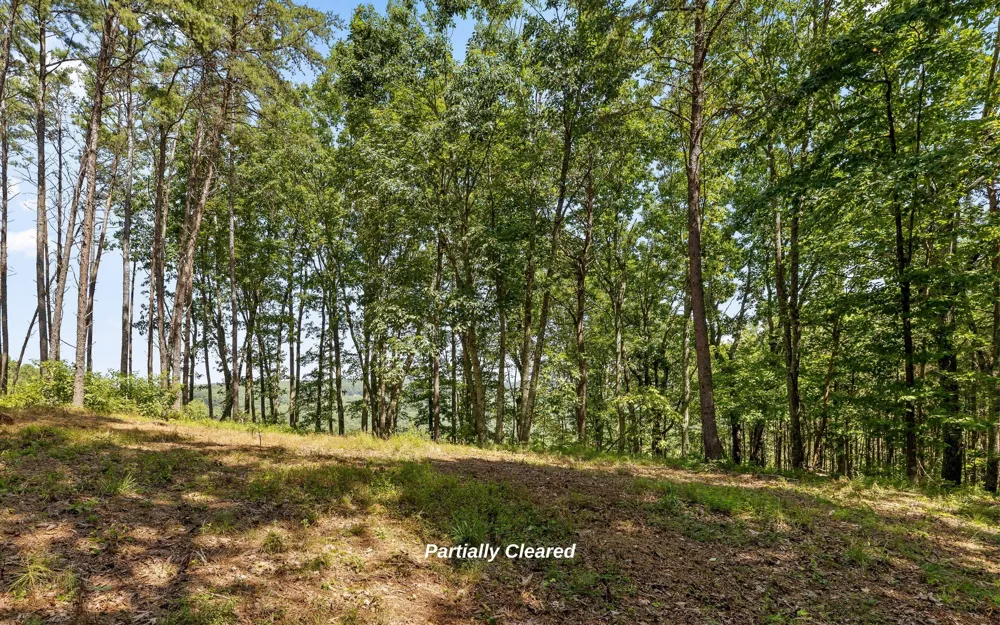 1220 Crows Nest Drive Guild, TN 37340