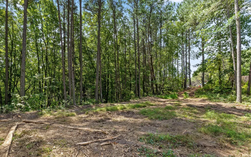 1220 Crows Nest Drive Guild, TN 37340