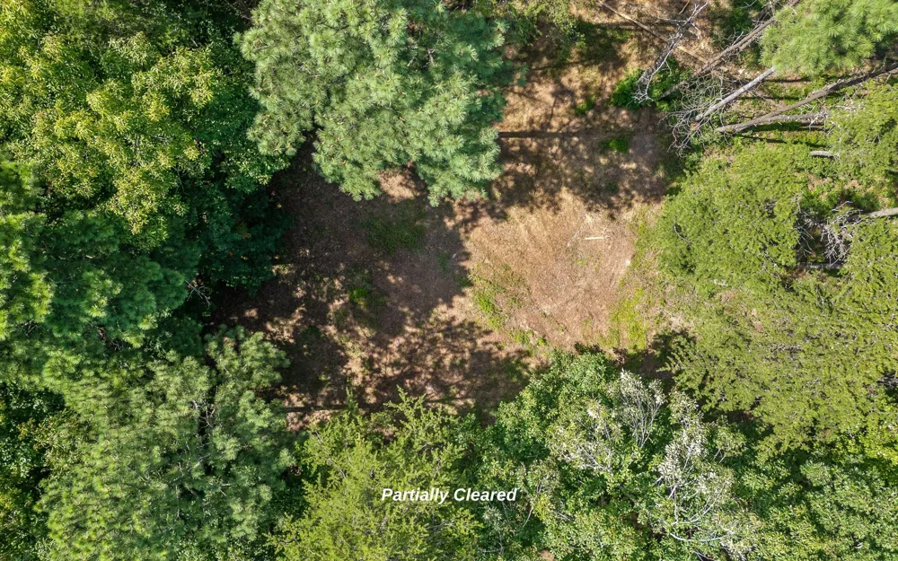 1220 Crows Nest Drive Guild, TN 37340