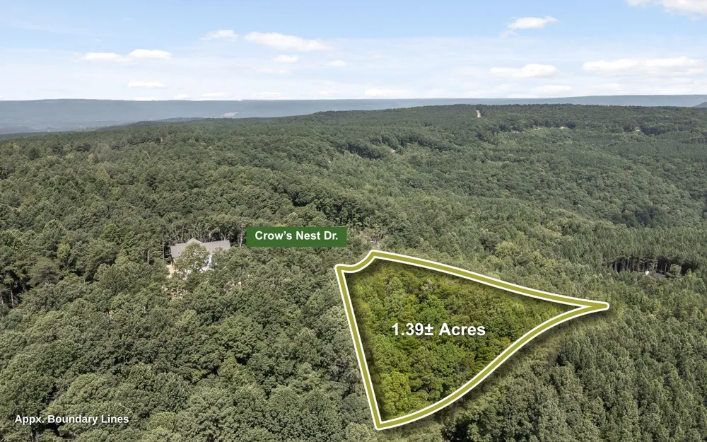 1220 Crows Nest Drive Guild, TN 37340