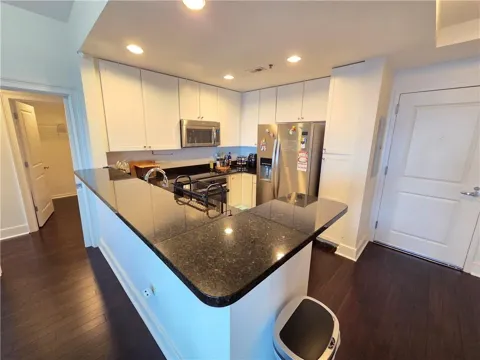 285 Centennial Olympic Park Drive NW #1702