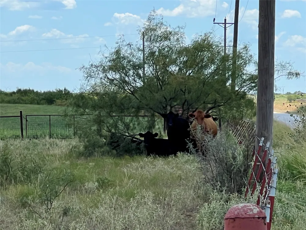 Turtle Hole Rd. Road Graham, TX 76450