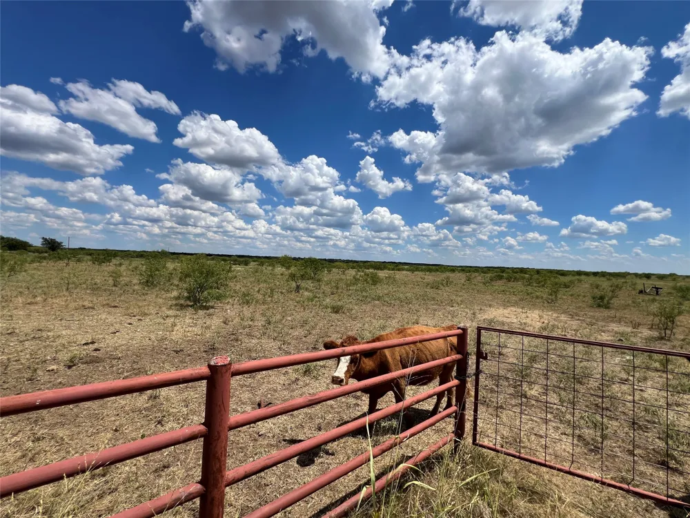 Turtle Hole Rd. Road Graham, TX 76450