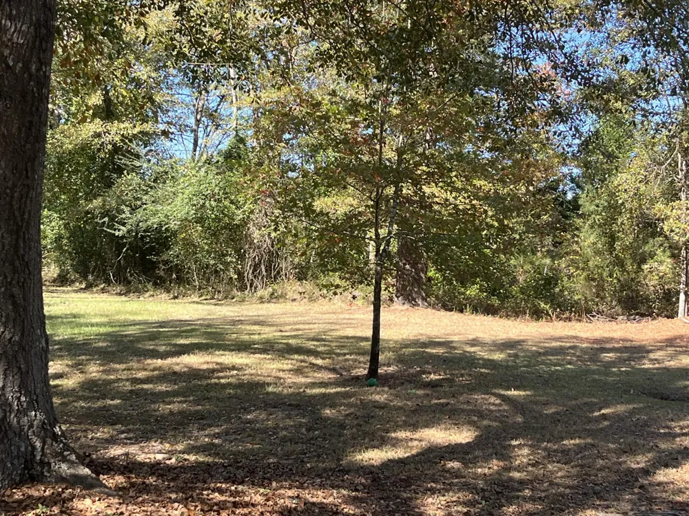 110 Stratford Lane Thomson, GA 30824